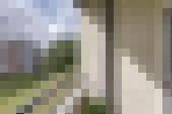 van Godewijckstraat 199 Hendrik-Ido-Ambacht thumbnail 15