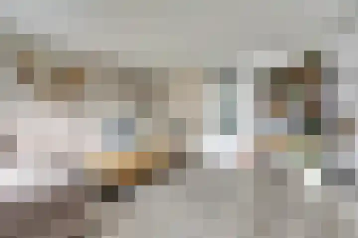 van Godewijckstraat 199 Hendrik-Ido-Ambacht thumbnail 18