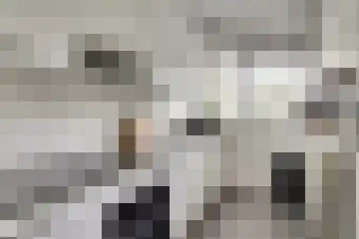van Godewijckstraat 199 Hendrik-Ido-Ambacht thumbnail 19