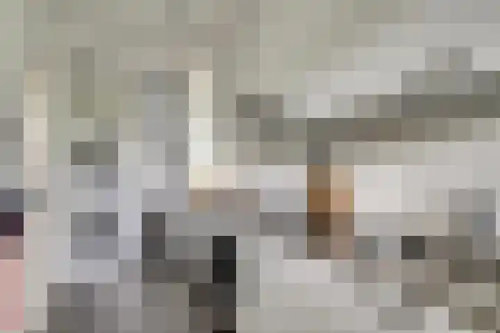 van Godewijckstraat 199 Hendrik-Ido-Ambacht thumbnail 20