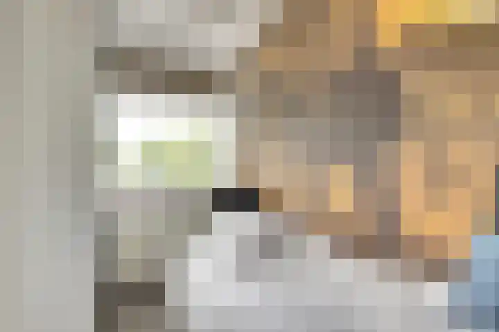 van Godewijckstraat 199 Hendrik-Ido-Ambacht thumbnail 25