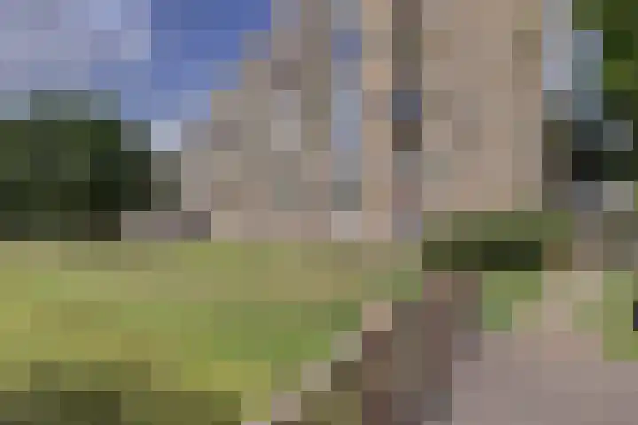 van Godewijckstraat 199 Hendrik-Ido-Ambacht thumbnail 32