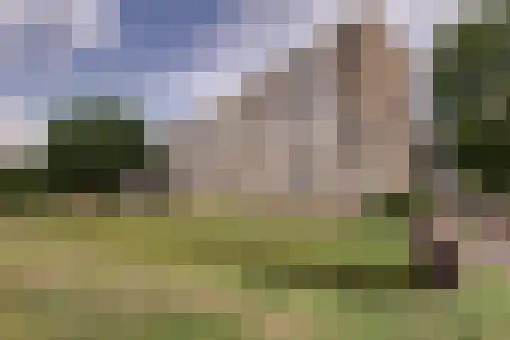 van Godewijckstraat 199 Hendrik-Ido-Ambacht thumbnail 33