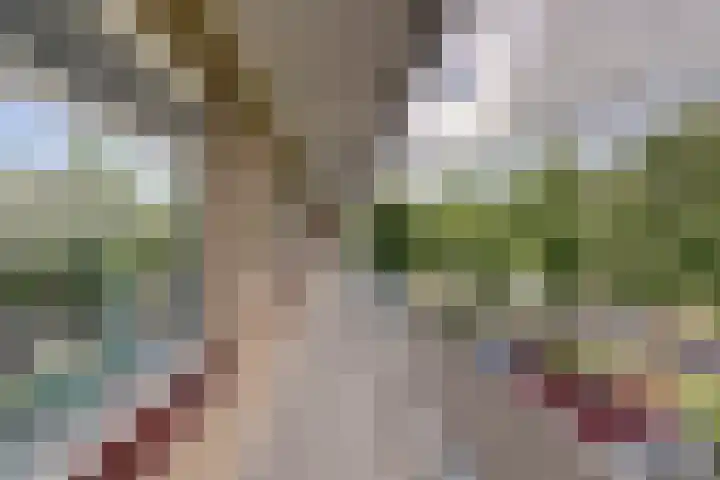 van Godewijckstraat 199 Hendrik-Ido-Ambacht thumbnail 7