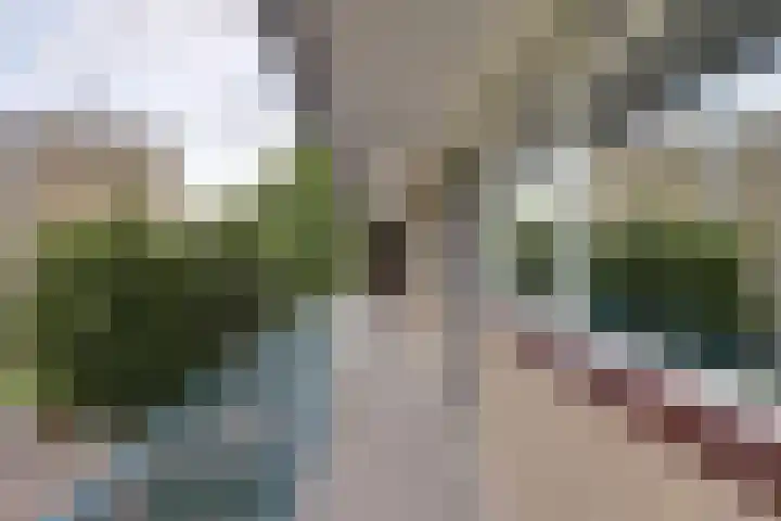 van Godewijckstraat 199 Hendrik-Ido-Ambacht thumbnail 8