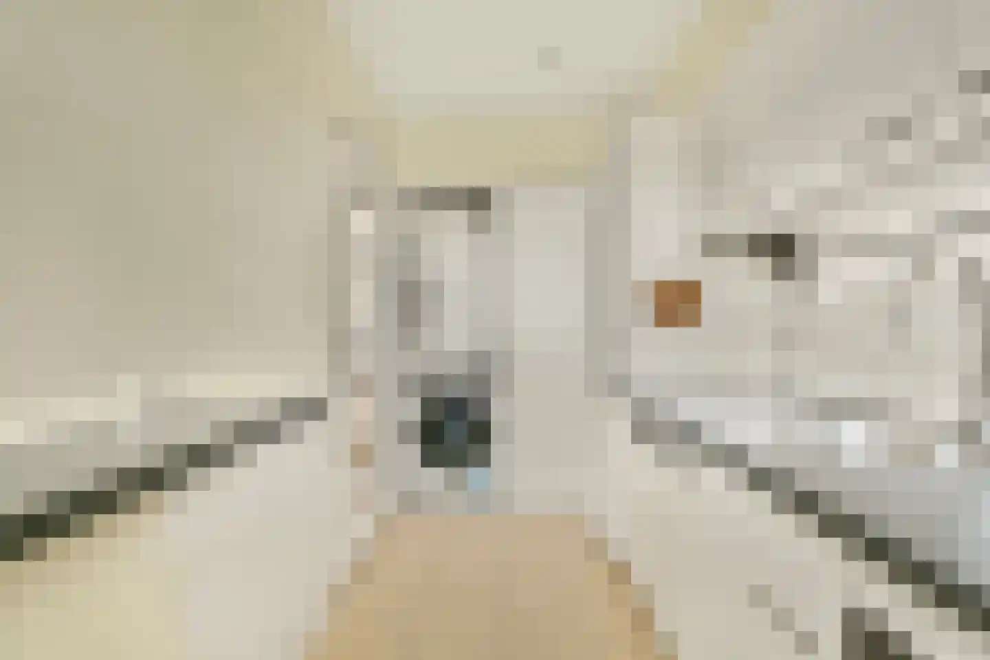 van Godewijckstraat 247 Hendrik-Ido-Ambacht thumbnail 14