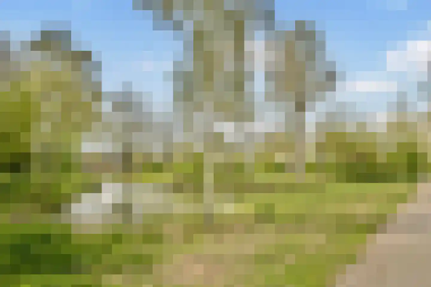 van Godewijckstraat 247 Hendrik-Ido-Ambacht thumbnail 22