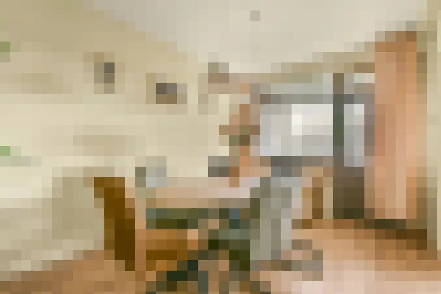 van Godewijckstraat 247 Hendrik-Ido-Ambacht foto 3