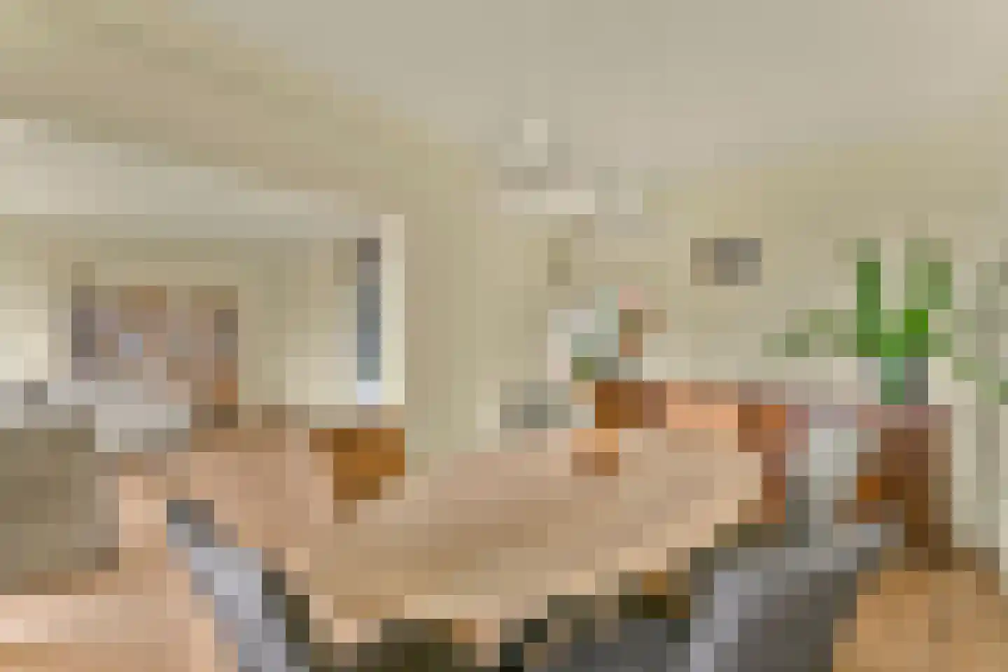 van Godewijckstraat 247 Hendrik-Ido-Ambacht thumbnail 9