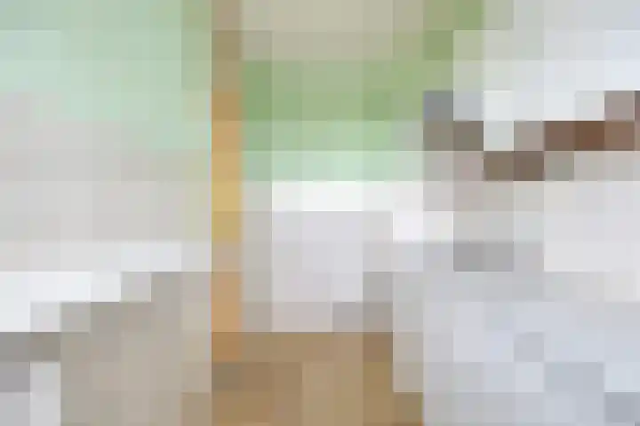 van Godewijckstraat 249 Hendrik-Ido-Ambacht thumbnail 11