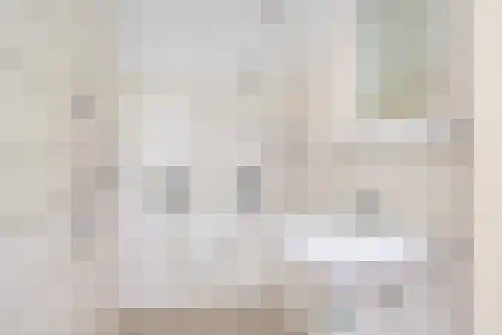 van Godewijckstraat 249 Hendrik-Ido-Ambacht thumbnail 14