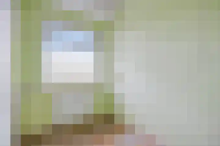 van Godewijckstraat 249 Hendrik-Ido-Ambacht thumbnail 17