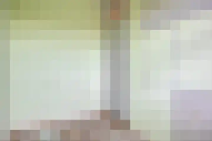 van Godewijckstraat 249 Hendrik-Ido-Ambacht thumbnail 18