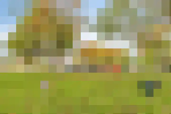 van Godewijckstraat 249 Hendrik-Ido-Ambacht thumbnail 21