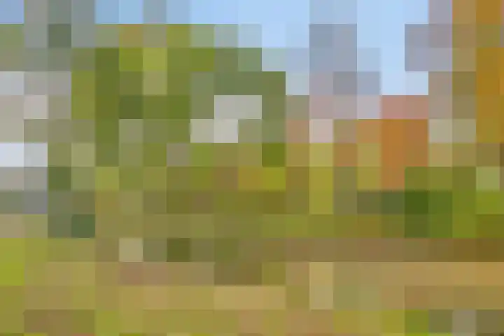 van Godewijckstraat 249 Hendrik-Ido-Ambacht thumbnail 4
