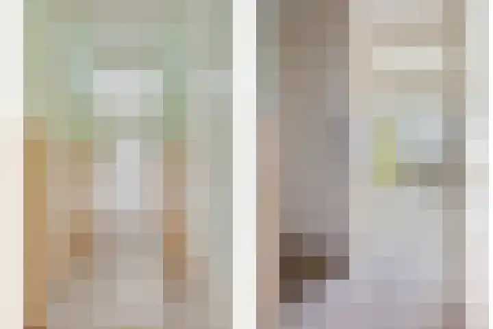 van Godewijckstraat 249 Hendrik-Ido-Ambacht thumbnail 5