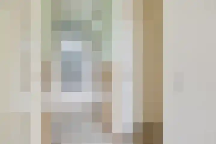 van Godewijckstraat 249 Hendrik-Ido-Ambacht thumbnail 7