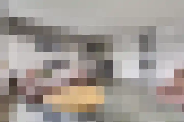 van Godewijckstraat 275 Hendrik-Ido-Ambacht thumbnail 14