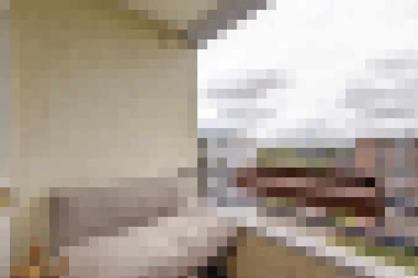 van Godewijckstraat 275 Hendrik-Ido-Ambacht thumbnail 16