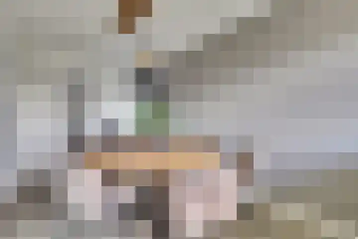 van Godewijckstraat 275 Hendrik-Ido-Ambacht thumbnail 16