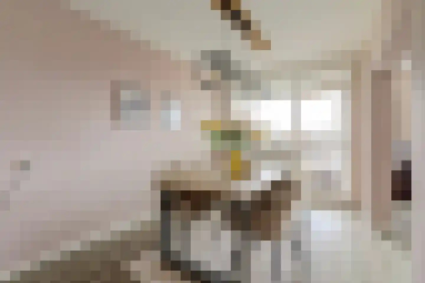 van Godewijckstraat 275 Hendrik-Ido-Ambacht thumbnail 4