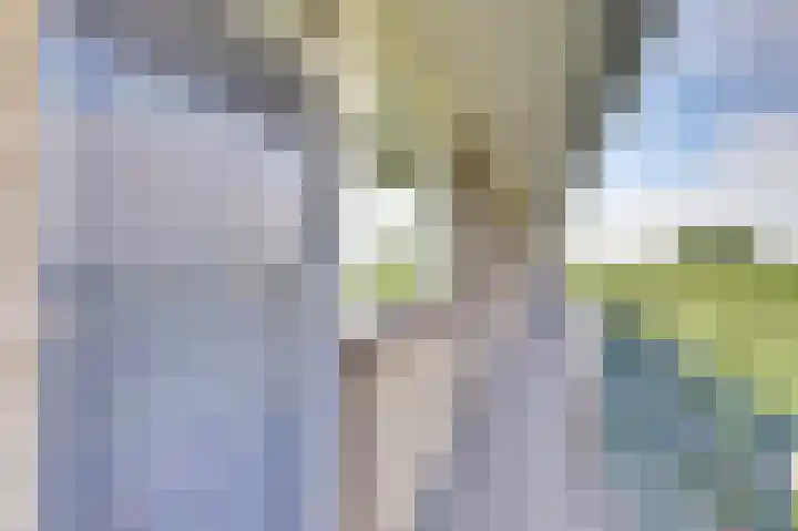 van Godewijckstraat 275 Hendrik-Ido-Ambacht thumbnail 8