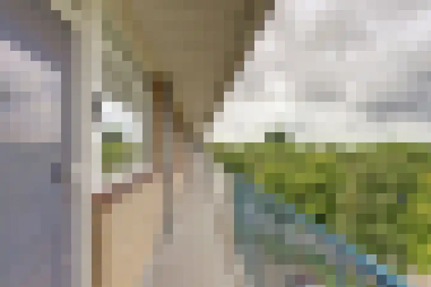 van Godewijckstraat 275 Hendrik-Ido-Ambacht thumbnail 9