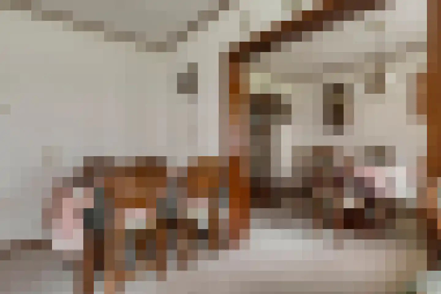 van Godewijckstraat 29 Hendrik-Ido-Ambacht thumbnail 13