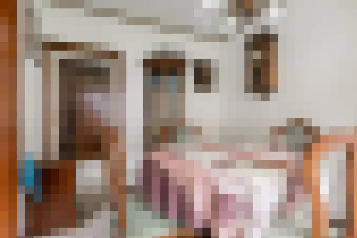 van Godewijckstraat 29 Hendrik-Ido-Ambacht thumbnail 17