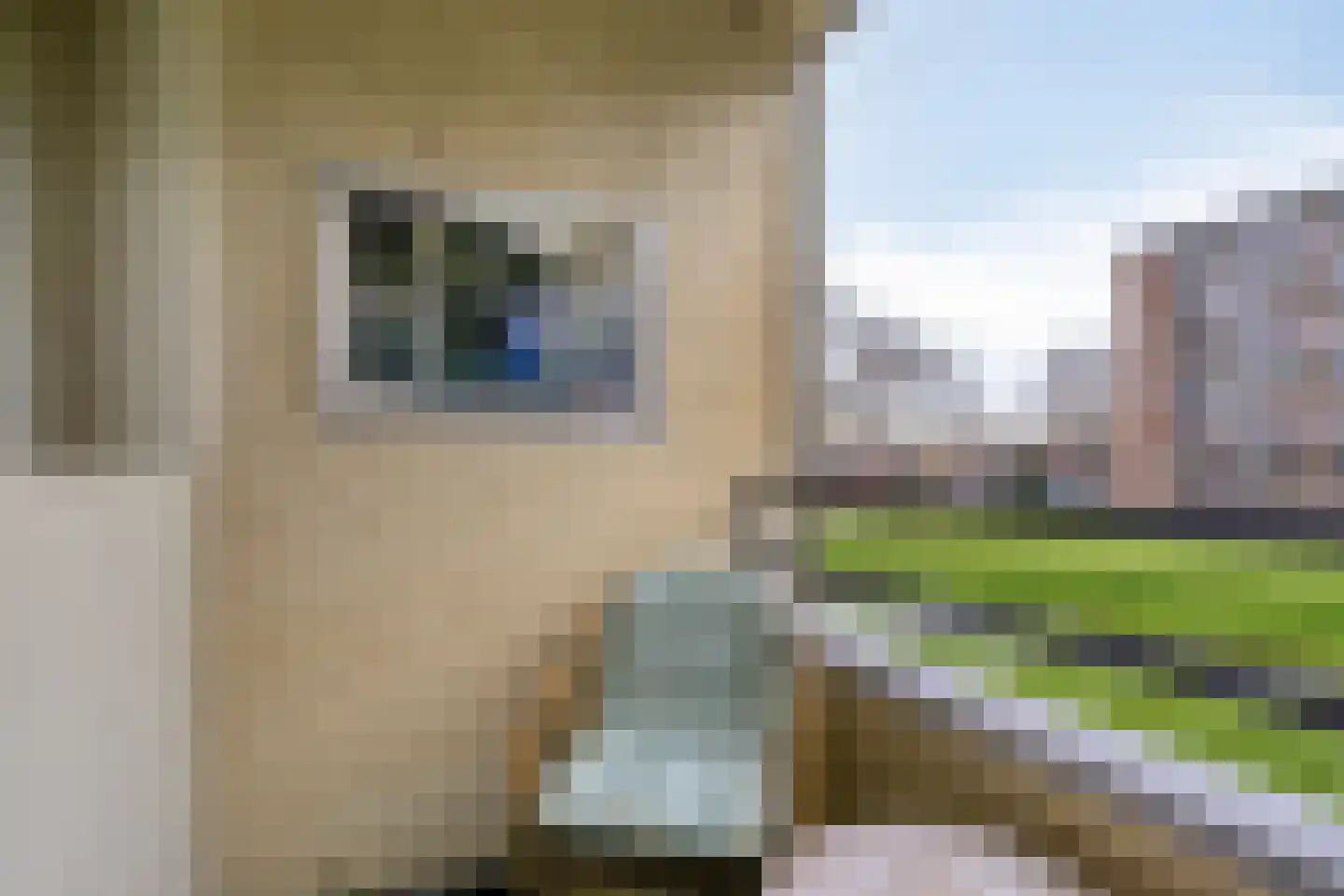 van Godewijckstraat 29 Hendrik-Ido-Ambacht thumbnail 18