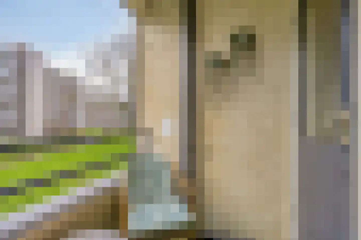van Godewijckstraat 29 Hendrik-Ido-Ambacht thumbnail 19