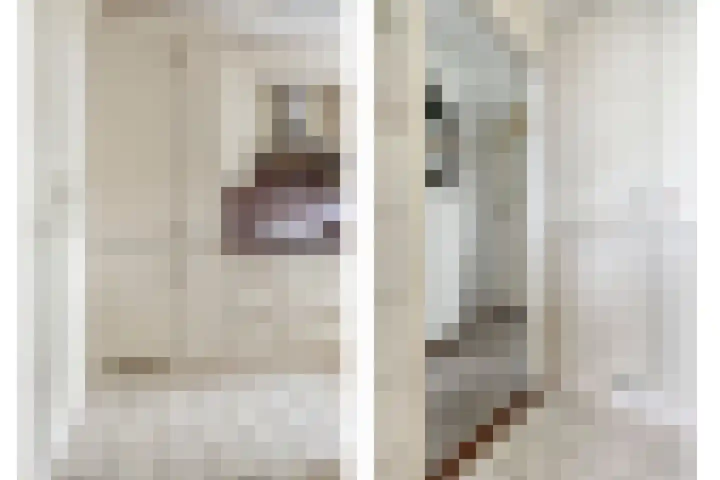 van Godewijckstraat 29 Hendrik-Ido-Ambacht thumbnail 21