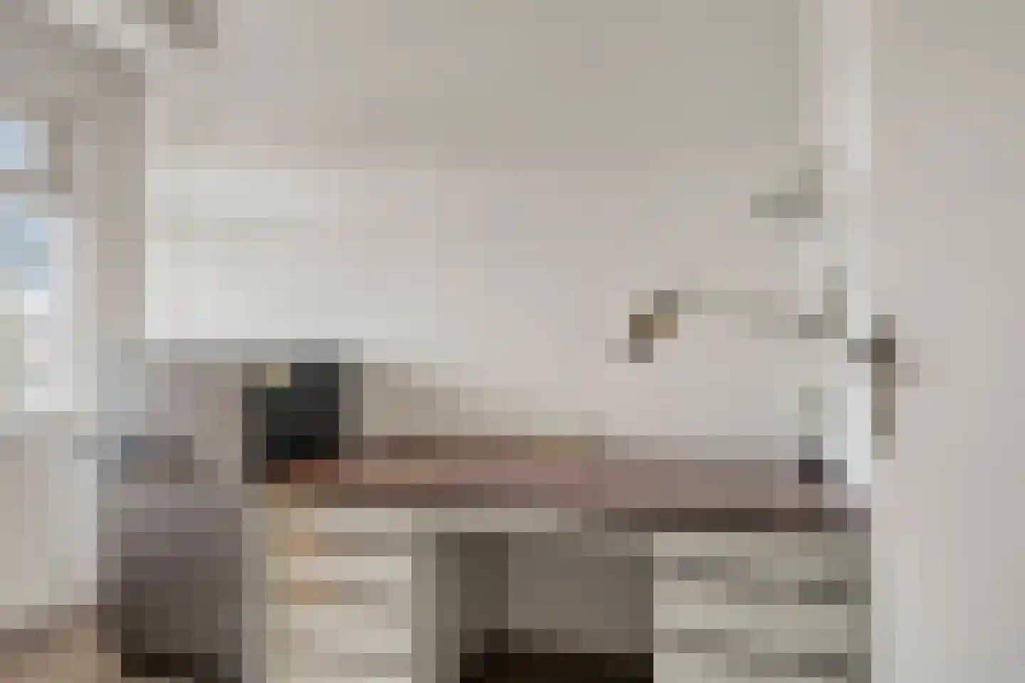 van Godewijckstraat 29 Hendrik-Ido-Ambacht thumbnail 27