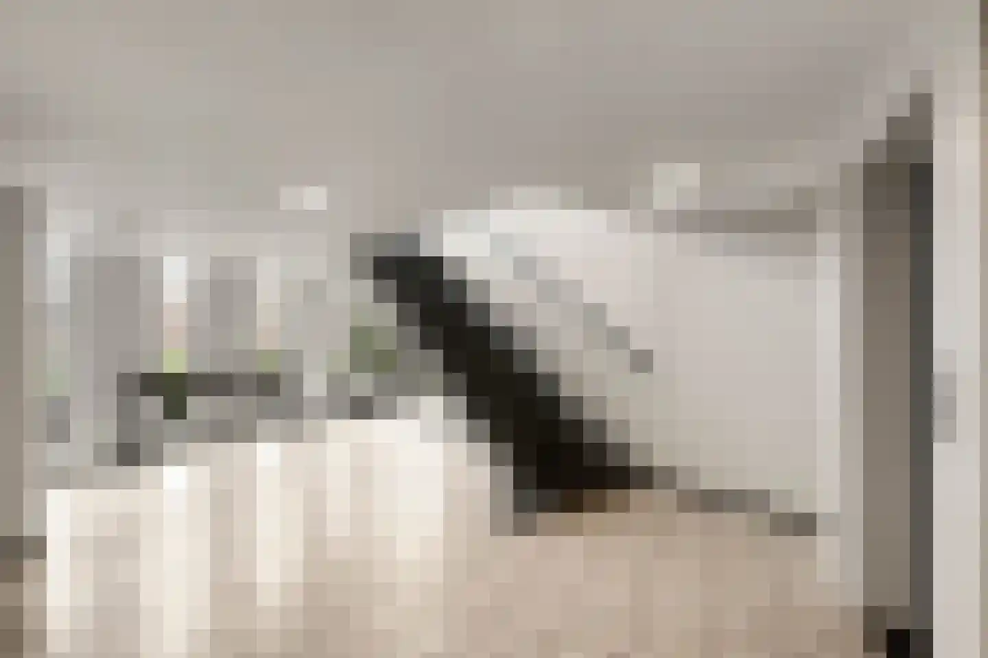 van Godewijckstraat 29 Hendrik-Ido-Ambacht thumbnail 37