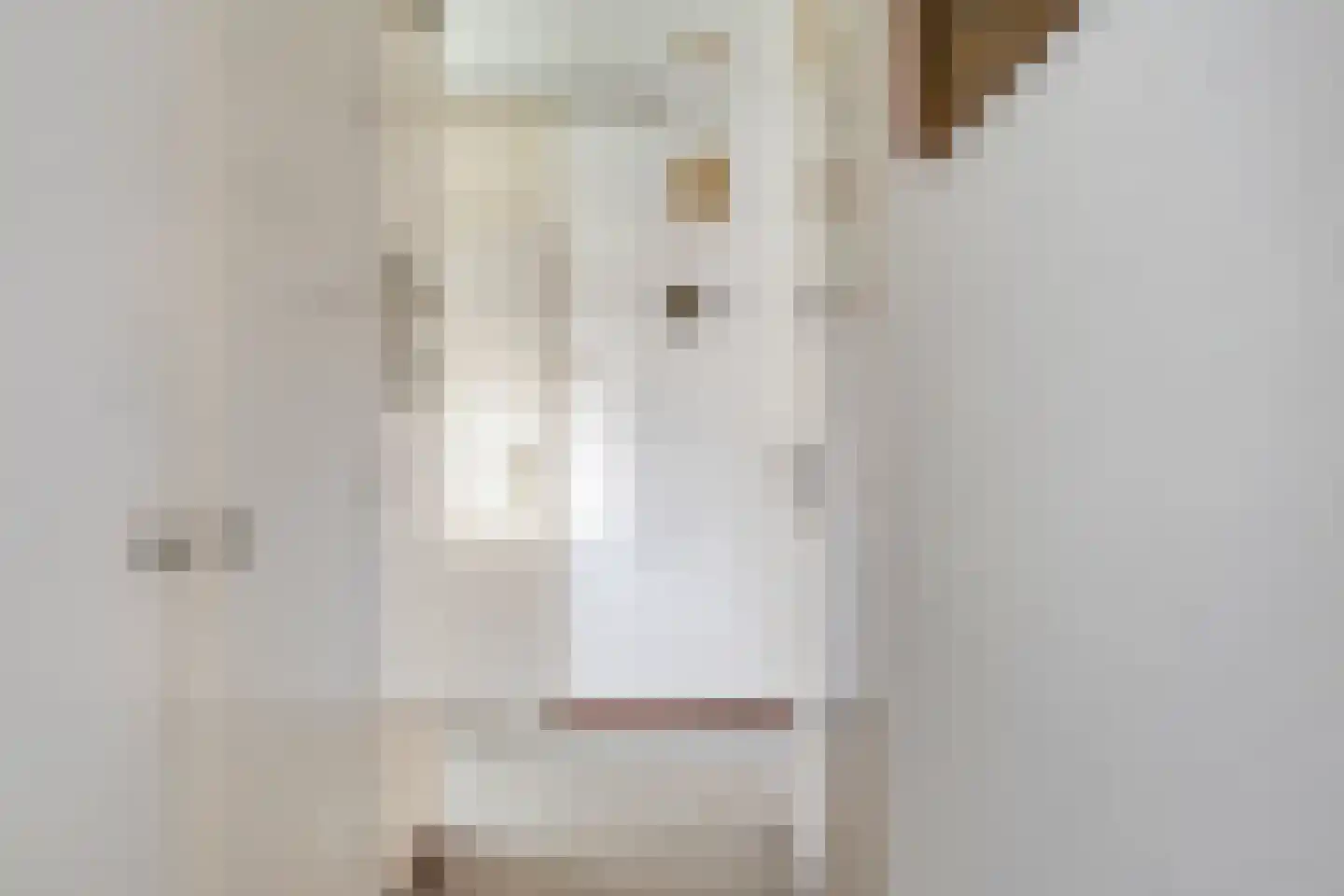 van Godewijckstraat 29 Hendrik-Ido-Ambacht thumbnail 8
