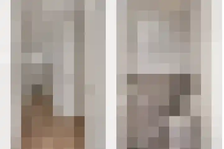 van Godewijckstraat 35 Hendrik-Ido-Ambacht thumbnail 13