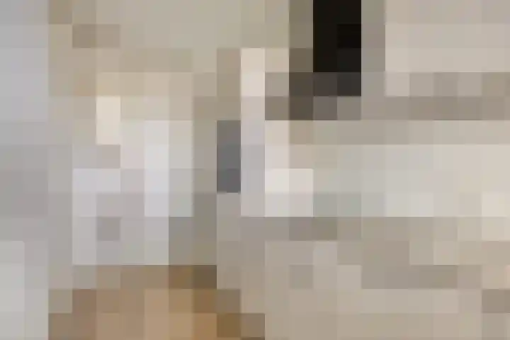 van Godewijckstraat 35 Hendrik-Ido-Ambacht thumbnail 17