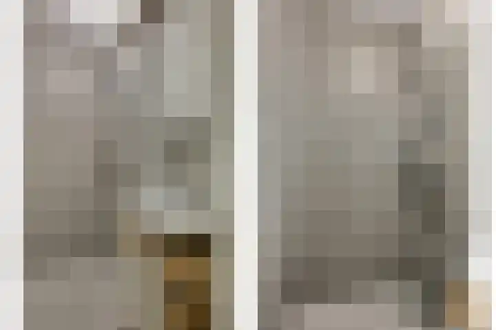 van Godewijckstraat 35 Hendrik-Ido-Ambacht thumbnail 20