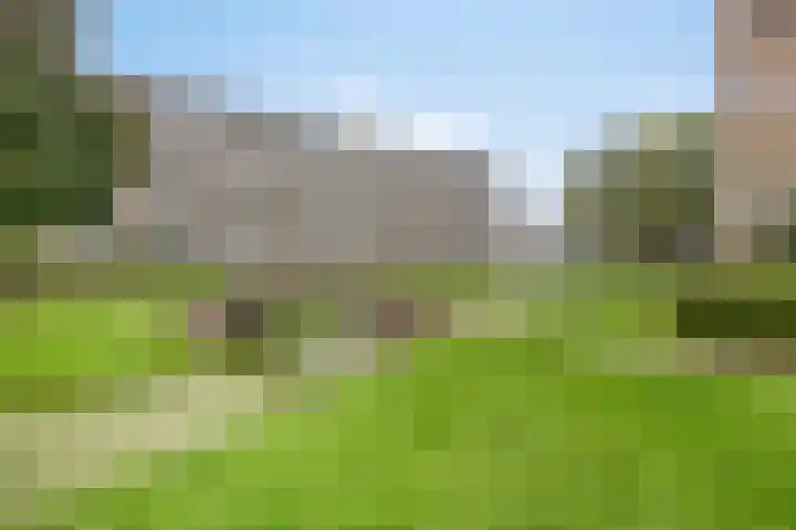 van Godewijckstraat 35 Hendrik-Ido-Ambacht thumbnail 26