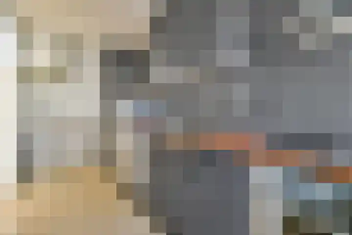 van Godewijckstraat 57 Hendrik-Ido-Ambacht thumbnail 12