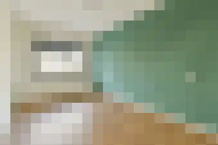 van Godewijckstraat 57 Hendrik-Ido-Ambacht thumbnail 14