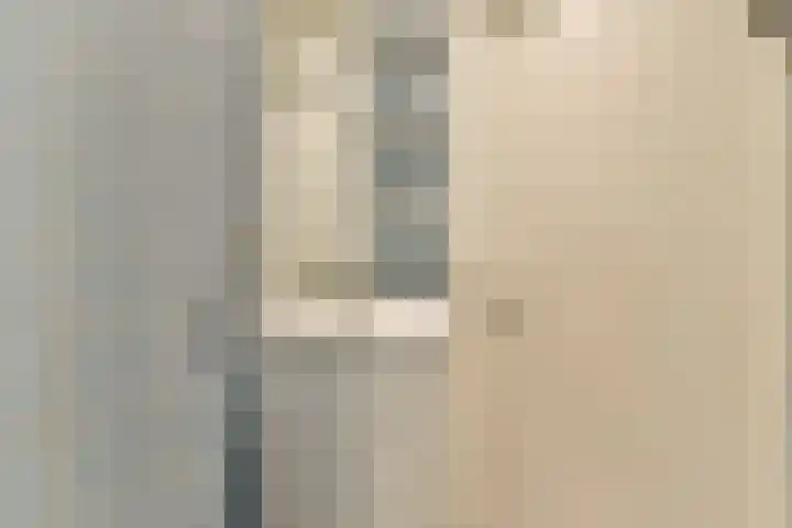van Godewijckstraat 57 Hendrik-Ido-Ambacht thumbnail 19