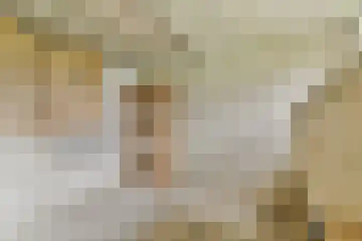 van Godewijckstraat 57 Hendrik-Ido-Ambacht thumbnail 21