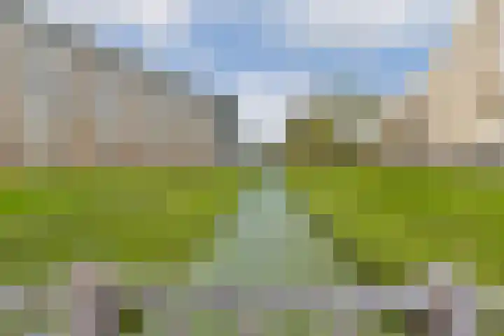 van Godewijckstraat 57 Hendrik-Ido-Ambacht thumbnail 22