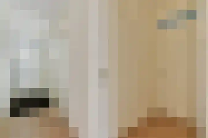 van Godewijckstraat 57 Hendrik-Ido-Ambacht thumbnail 5