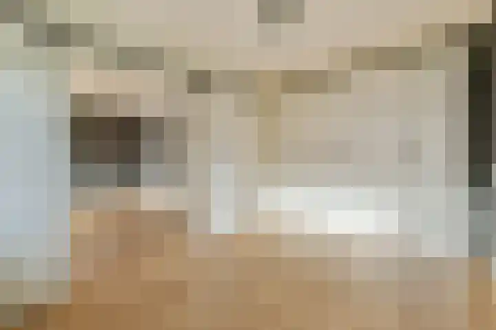 van Godewijckstraat 57 Hendrik-Ido-Ambacht thumbnail 8