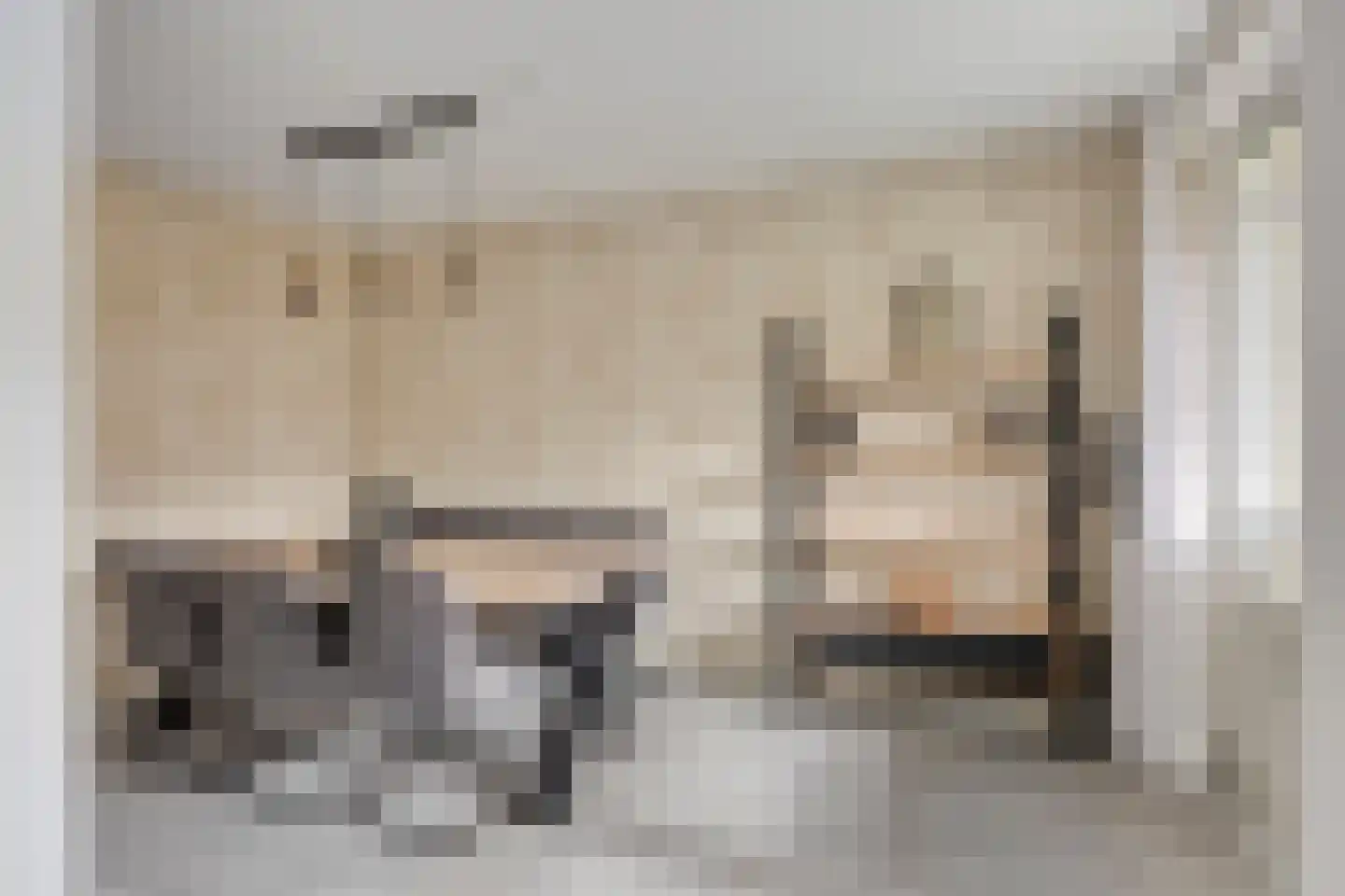 van Godewijckstraat 71 Hendrik-Ido-Ambacht thumbnail 13