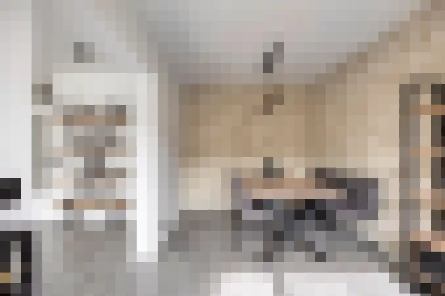 van Godewijckstraat 71 Hendrik-Ido-Ambacht thumbnail 15