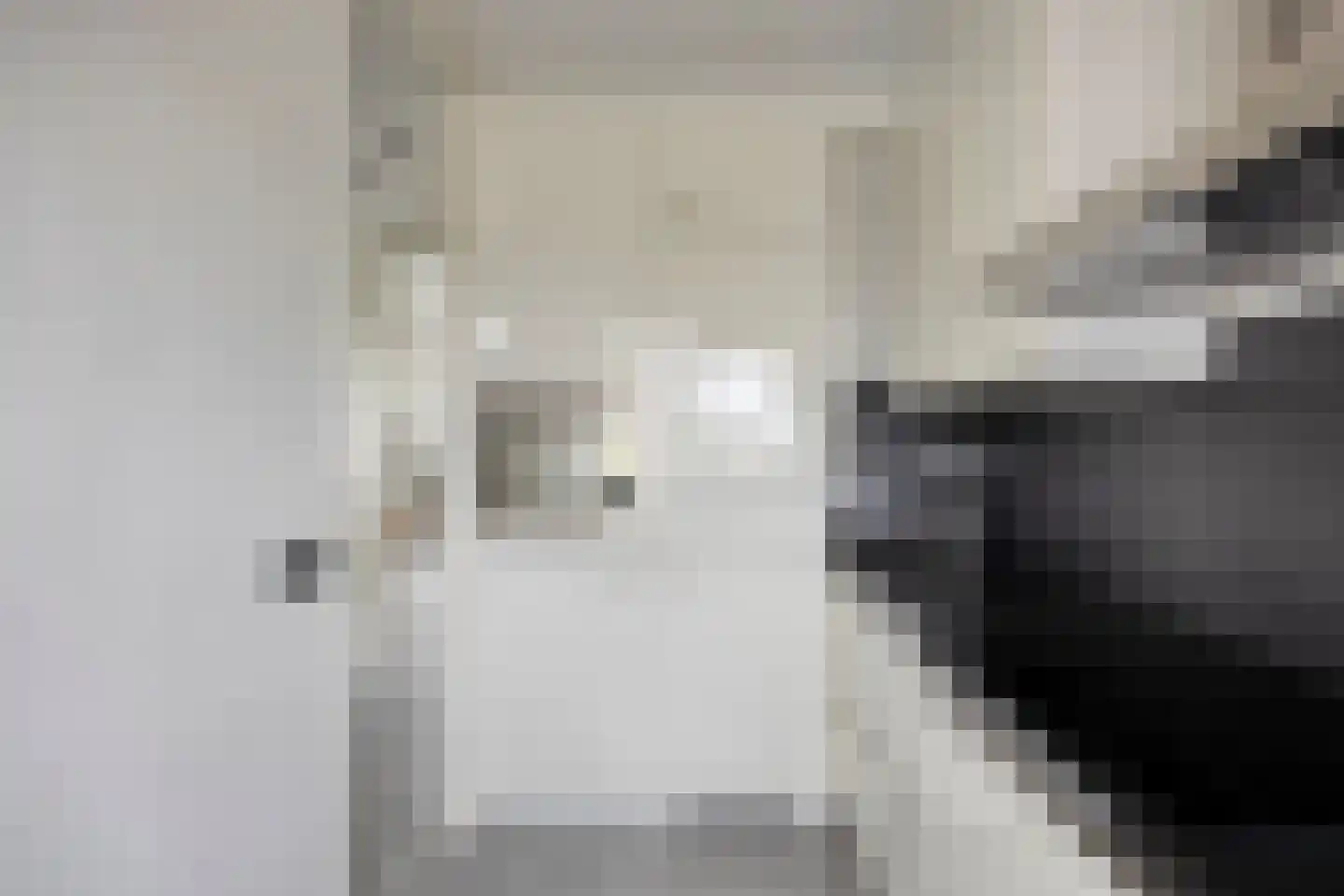 van Godewijckstraat 71 Hendrik-Ido-Ambacht thumbnail 18
