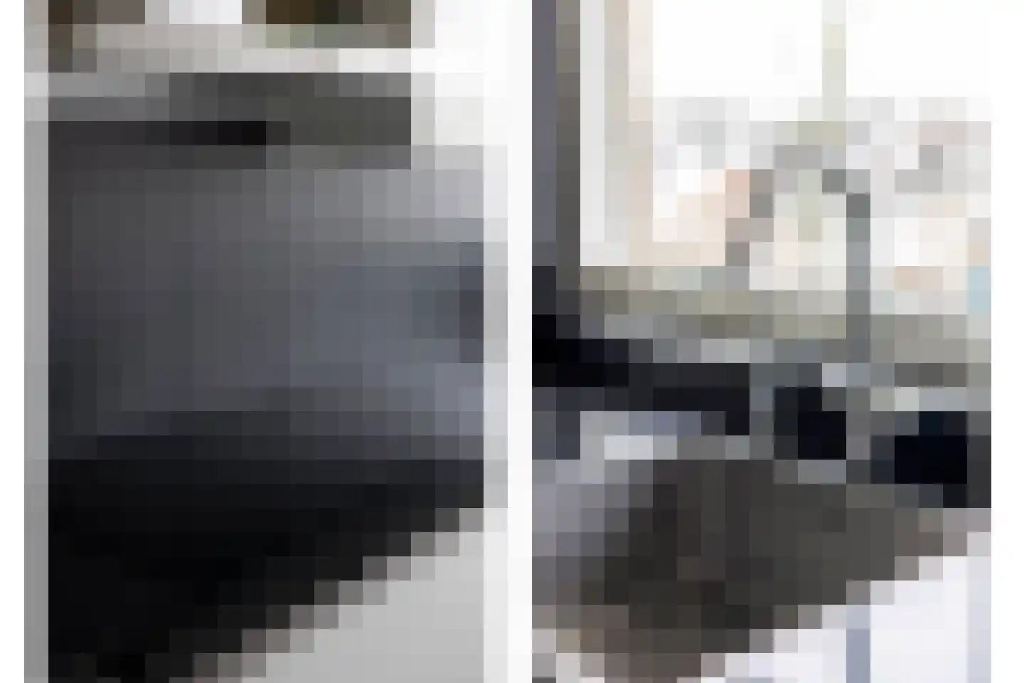 van Godewijckstraat 71 Hendrik-Ido-Ambacht thumbnail 20